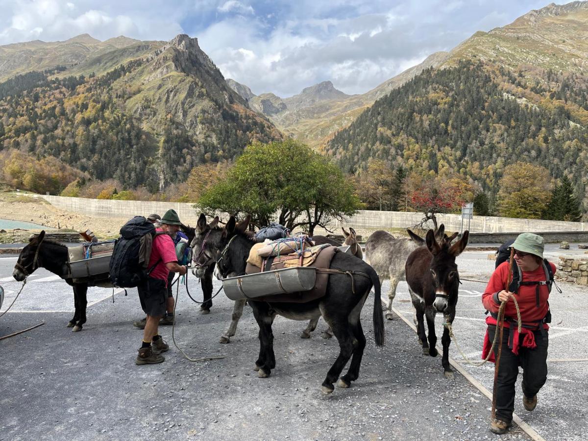 فيلا Domaine De Monda آرجول جازو المظهر الخارجي الصورة